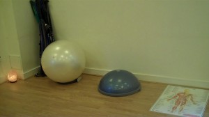 bosu-ball-swiss-pilates-ball-anatomical-chart-fitness-studio-personal-trainer-south-dublin-ireland bosu-ball-swiss-pilates-ball-anatomical-chart-fitness-studio-personal-trainer-south-dublin-ireland