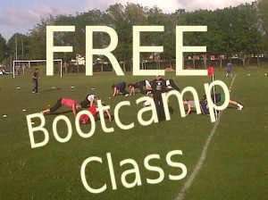 Free Bootcamp Circuit Fitness Classes in South Dublin, close to Dundrum, Rathfarnham, Marlay Park, St. Enda's Park, Rathmines, Leopardstown, Sandyford