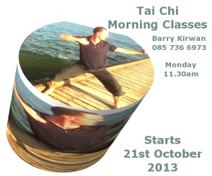 Tai Chi with Barry Kirwan in South Dulbin Churchtown Dublin 14 Fitnecise Studio close to Rathmines Dundrum Rathfarnham Nutgrove
