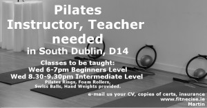 Pilates Instructor Teacher Jobs Vacancies in South Dublin, Churchtown Dublin 14 Ireland Fitnecise Studios Martin Luschin