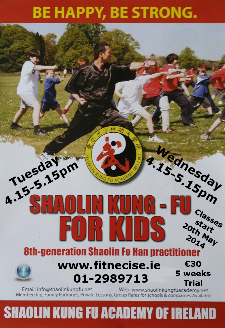 Martial Arts - Kung Fu for Kids and Teenagers - Fitness Classes in South Dublin, Churchtown Village, close to Dundrum, Rathfarnham Templeogue Terenure Rathmines Rathgar Ballinteer Dublin 14 D14