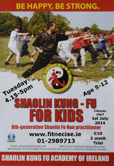 Summer 2014 Kids, Teenagers Kung Fu, Martial Arts - Fitness Exercises Classes in South Dublin, Churchtown Village, close to Dundrum, Rathfarnham Templeogue Terenure Rathmines Rathgar Ballinteer Dublin 14 D14